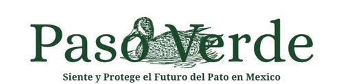 PASO VERDE